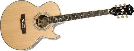 Epiphone - PR-5E Acoustic/Electrics